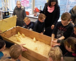 2016 Witte Donderdag a (2)