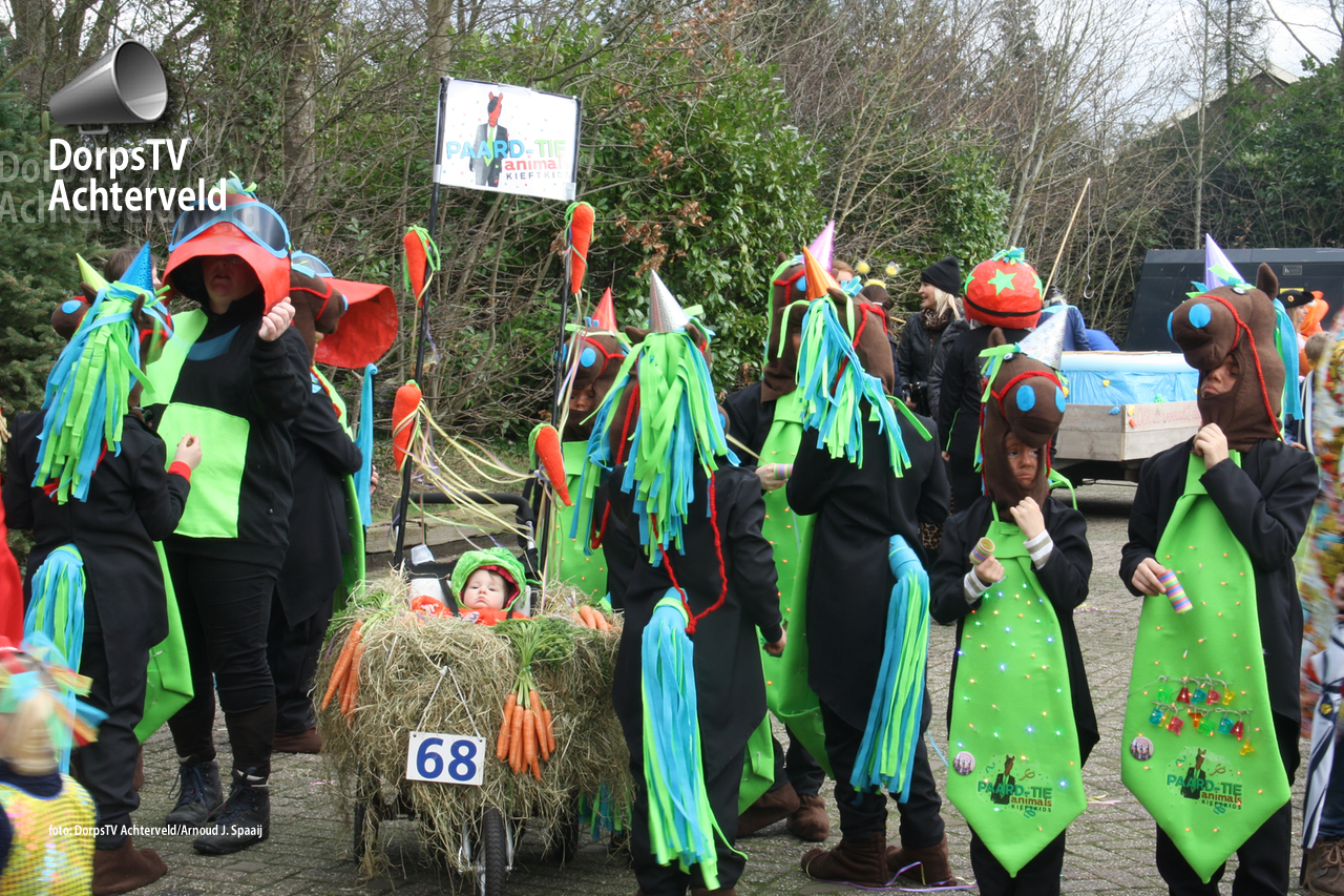 carnavalsoptocht 2016