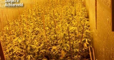 Hennepkwekerij Hessenweg