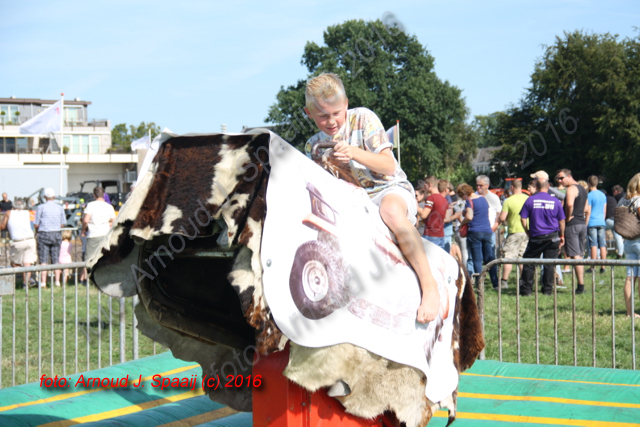 IMG_2783-Gazonmaaierrace_2016