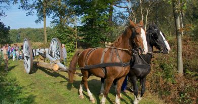 Wennebie en Parika voor de Mallejan
