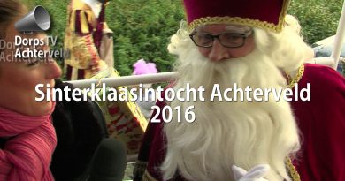 Sinterklaasintocht 2016