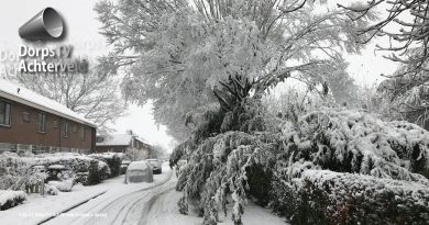 Sneeuw op takken Verjaagde Ruiterweg
