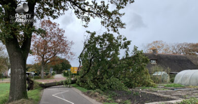 omgevallen boom Klettersteeg