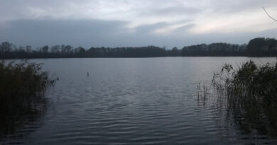 Gat van Bokkers - Vinkelaar