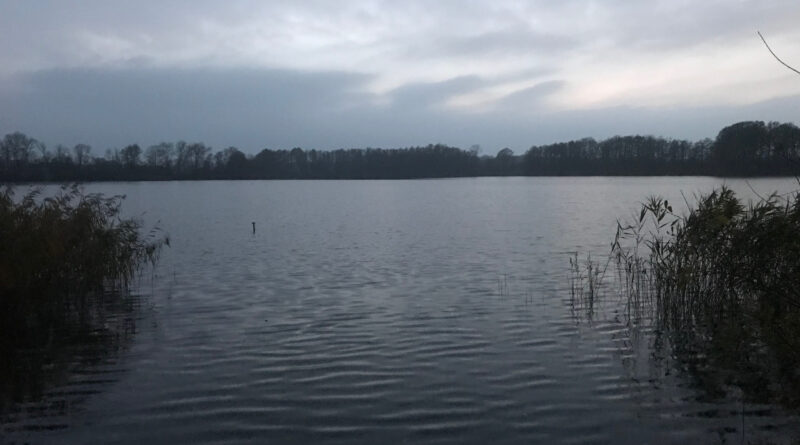 Gat van Bokkers - Vinkelaar